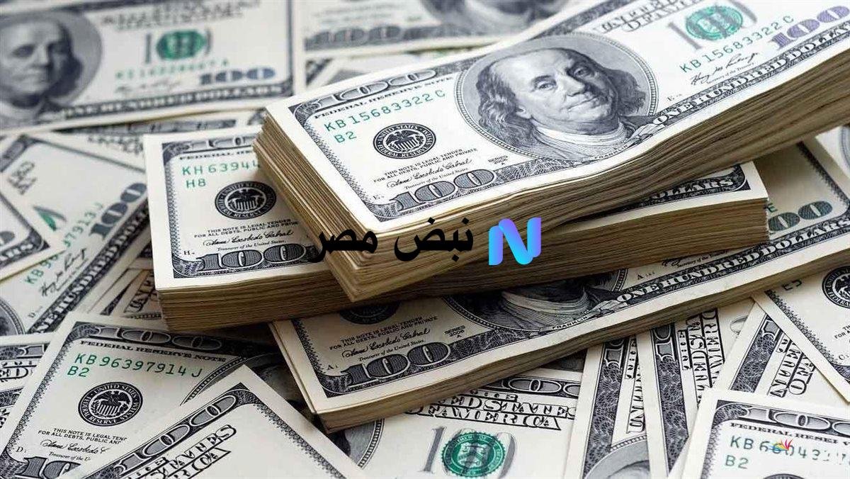 “استقرار ام تقلب” سعر الدولار اليوم مقابل الدينار العراقي الاثنين 11 أغطسطس تحديثات مهمة