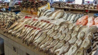 أسعار الأسماك اليوم الجمعة 6 فبراير 2026 في الأسواق المحلية ترفق بالمستجدات في الأسواق المصرية