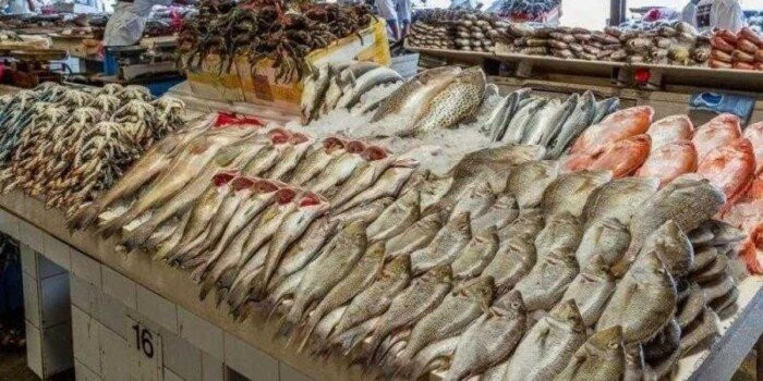 أسعار الأسماك اليوم الجمعة 6 فبراير 2026 في الأسواق المحلية ترفق بالمستجدات في الأسواق المصرية