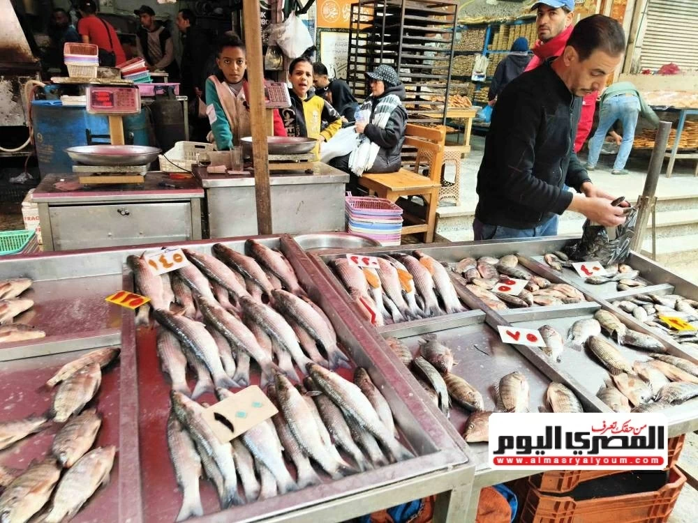 أسعار الأسماك اليوم الجمعة في شمال سيناء