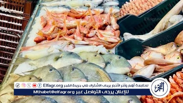 أسعار الأسماك في أسيوط اليوم الجمعة 6 فبراير 2026