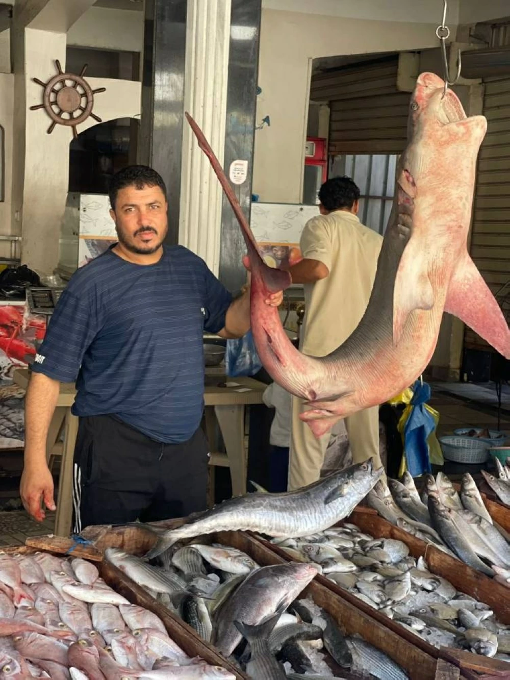 أسعار السمك في مطروح اليوم الجمعة تموجات السوق وأسعار الأسماك الموسمية