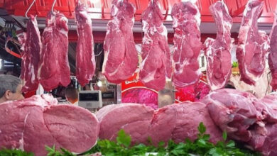 أسعار اللحوم اليوم الجمعة 6 فبراير 2026 تلامس الـ 428 للضاني وسط استقرار في السوق
