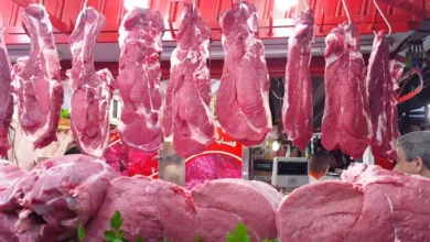 أسعار اللحوم اليوم في شمال سيناء تصل إلى أعلى مستوياتها الجمعة