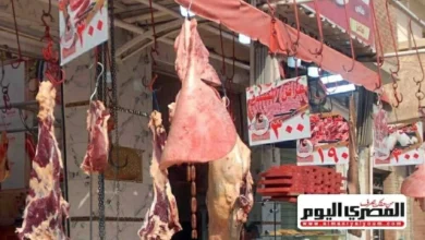 أسعار اللحوم صباح الجمعة في أسواق مطروح