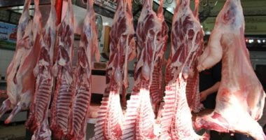 أسعار اللحوم في كفر الشيخ الجمعة 6 فبراير 2026