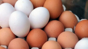أسعار بيض المائدة اليوم في الأسواق والكمية المناسبة للطبق