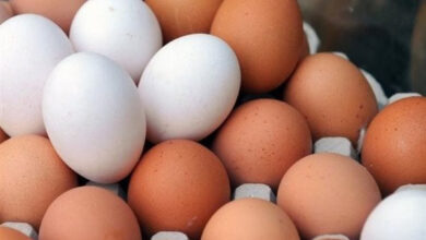 أسعار بيض المائدة اليوم في الأسواق والكمية المناسبة للطبق