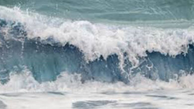 الأرصاد تتوقع طقساً معتدلاً مع أمطار خفيفة وتحذر من اضطراب البحر