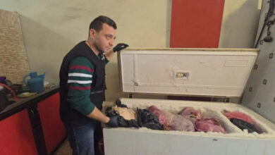 انتشار اللحوم المثلجة بشكل واسع في السوق يهدد الأمن الغذائي وسط مخاطر الغش والتلاعب