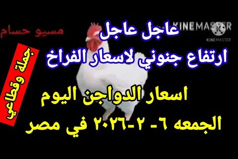 سعر كرتونة البيض اليوم الثلاثاء فبراير 2026 في الأسواق المحلية وبورصة الدواجن