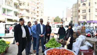 محافظ الفيوم يطلق جولات مفاجئة لمتابعة الانضباط ويصدر أوامر بإجراءات صارمة ضد المخالفين