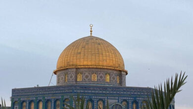 مصر ترفض تقسيم قطاع غزة وتؤكد على إقامة دولة فلسطين وعاصمتها القدس الشرقية