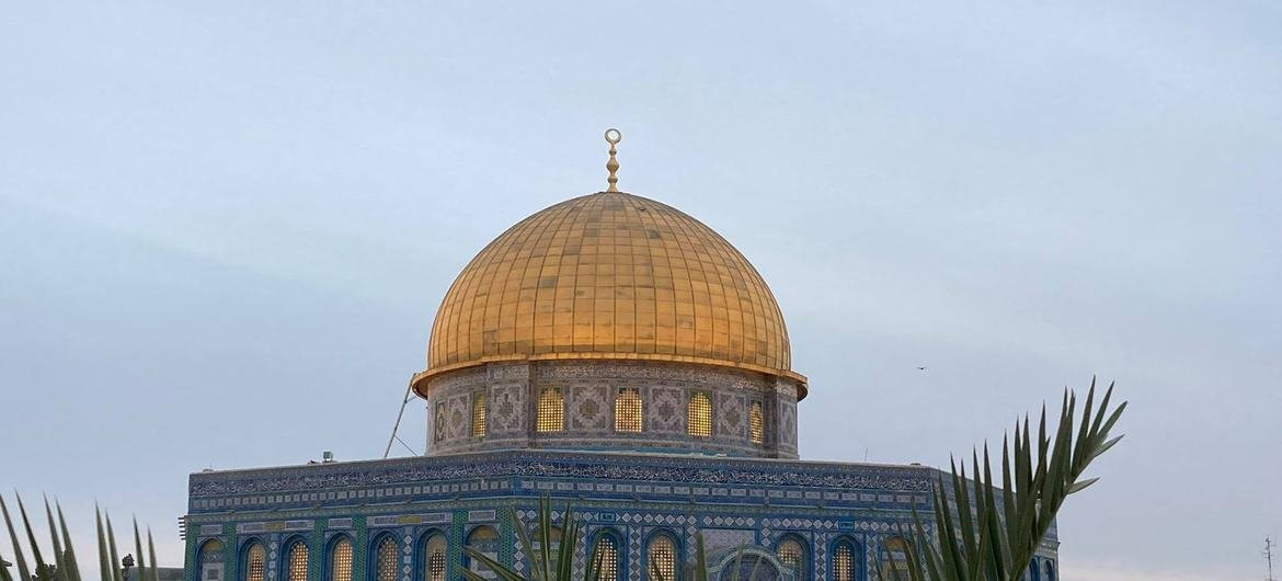 مصر ترفض تقسيم قطاع غزة وتؤكد على إقامة دولة فلسطين وعاصمتها القدس الشرقية