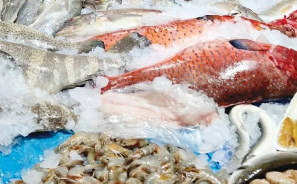 موجة غير مسبوقة من ارتفاع أسعار السمك في البحر الأحمر تصل إلى 350 جنيهًا