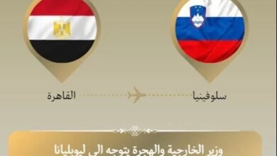 وزير الخارجية يتوجه إلى سلوفينيا للمشاركة في الاجتماع العربي الإسلامي بشأن أزمة غزة