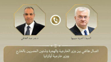 وزير الخارجية يناقش مع نظيره الأوكراني العلاقات الثنائية وتطورات الأزمة الروسية