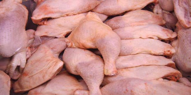 أبحاث عاجلة في قطاع الدواجن بعد ارتفاعات متتالية ورؤى تحذيرية حول المستقبل