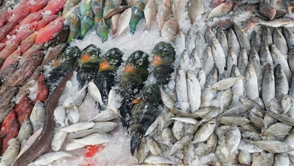 أسعار الأسماك اليوم الخميس 5 مارس 2026.. استقرار وتغييرات ملموسة في السوق