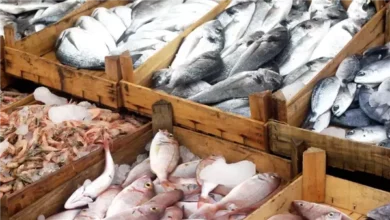 أسعار الأسماك اليوم في أسواق الدقهلية تتصدر العناوين.. تعرف على التغيرات الجديدة