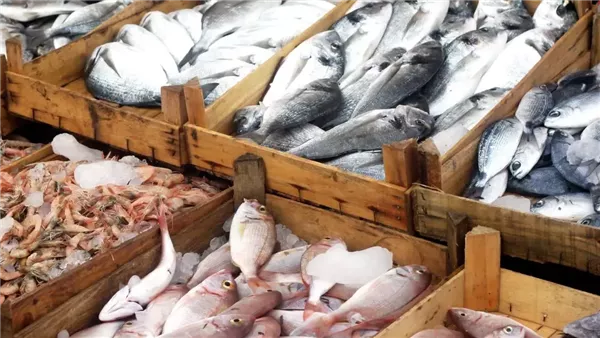 أسعار الأسماك اليوم في أسواق الدقهلية تتصدر العناوين.. تعرف على التغيرات الجديدة