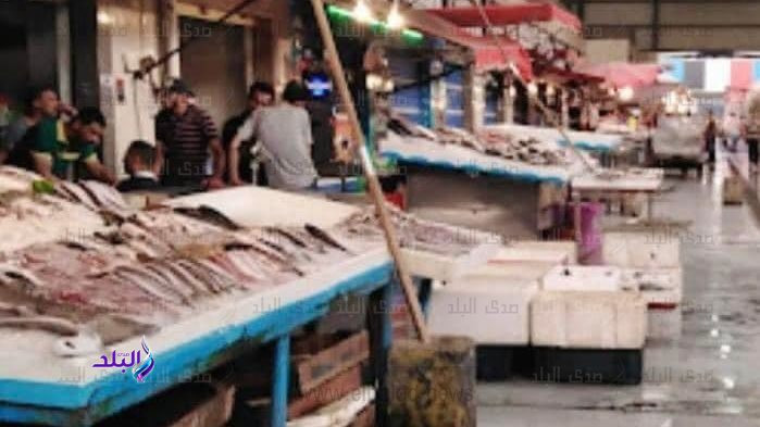 أسعار الأسماك تتجاوز الـ70 جنيه.. موجة ارتفاع جديدة في الأسواق