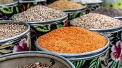 أسعار البقوليات تتباين في أسواق البحر الأحمر اليوم السبت 14 مارس 2026