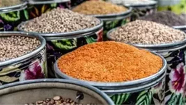 أسعار البقوليات تتباين في أسواق البحر الأحمر اليوم السبت 14 مارس 2026