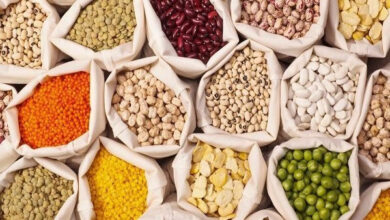 أسعار البقوليات في القاهرة تسجل تغيرات قابلة للملاحظة اليوم السبت 14 مارس 2026