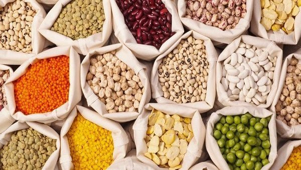 أسعار البقوليات في القاهرة تسجل تغيرات قابلة للملاحظة اليوم السبت 14 مارس 2026