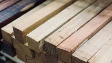 أسعار الخشب اليوم.. أحدث البيانات في سوق مواد البناء خلال السبت 7-3-2026