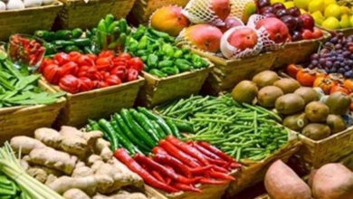 أسعار الخضار تتغير اليوم في سوق العبور بتاريخ 5 مارس 2026: استقرار وقفزات جديدة