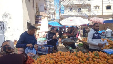 أسعار الخضروات والفاكهة اليوم في كفر الشيخ.. ارتفاع وتباين يلقي بظلاله على السوق