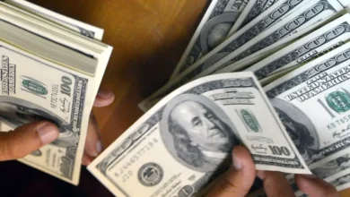 أسعار الدولار اليوم.. استقرار ملحوظ وارتفاعات متفاوتة في السوق المحلية