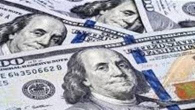 أسعار الدولار تتجاوز 50 جنيهًا في البنوك المصرية لأول مرة منذ أشهر، في وضوح تصاعدي غير مسبوق