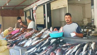أسعار السمك في أسواق الإسكندرية تتصدر اهتمامات المواطنين مع ارتفاع جديد اليوم الجمعة 13 مارس 2026