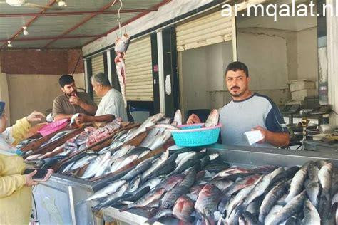 أسعار السمك في أسواق الإسكندرية تتصدر اهتمامات المواطنين مع ارتفاع جديد اليوم الجمعة 13 مارس 2026