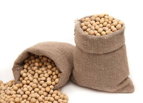 أسعار الصويا تتصاعد بدعم ارتفاع النفط وسط تصاعد التوترات الأمريكية والإسرائيلية مع إيران