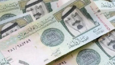 أسعار العملات في البنوك المصرية.. استقرار نسبي مع توقعات بتغييرات في الأيام القادمة