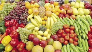 أسعار الفاكهة في الأسواق اليوم.. ارتفاع وتراجع يثير اهتمام المستهلكين