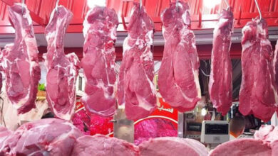 أسعار اللحوم الحمراء البلدية تشتعل.. ارتفاع غير مسبوق يهدد المستهلكين في الخميس، 5 مارس 2026