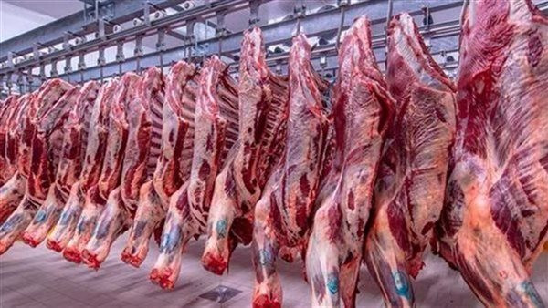 أسعار اللحوم اليوم في الأسواق المصرية.. ارتفاع وتذبذب يجعل المستهلكين في حيرة