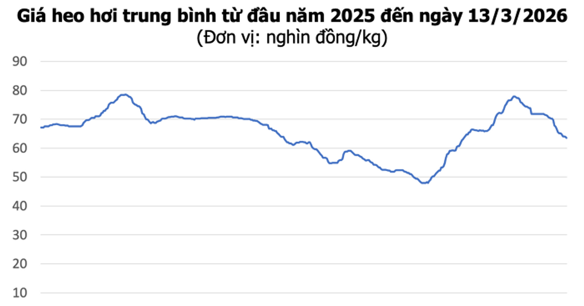 أسعار اللحوم تتفجر إلى مستويات قياسية بعد تسجيلها أعلى سعر بـ 68,000 دونج فيتنامي للكيلوغرام الواحد