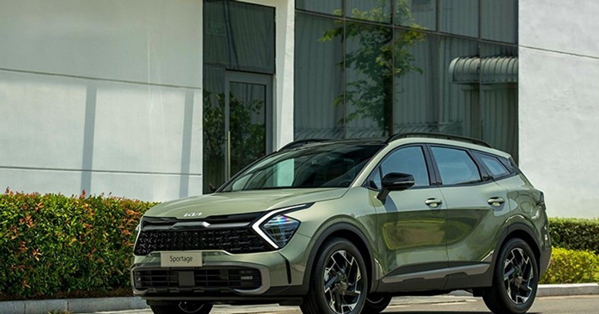 أسعار ومواصفات السيارات على الطريق حتى مارس 2026: أحدث التحديثات والمراجعات