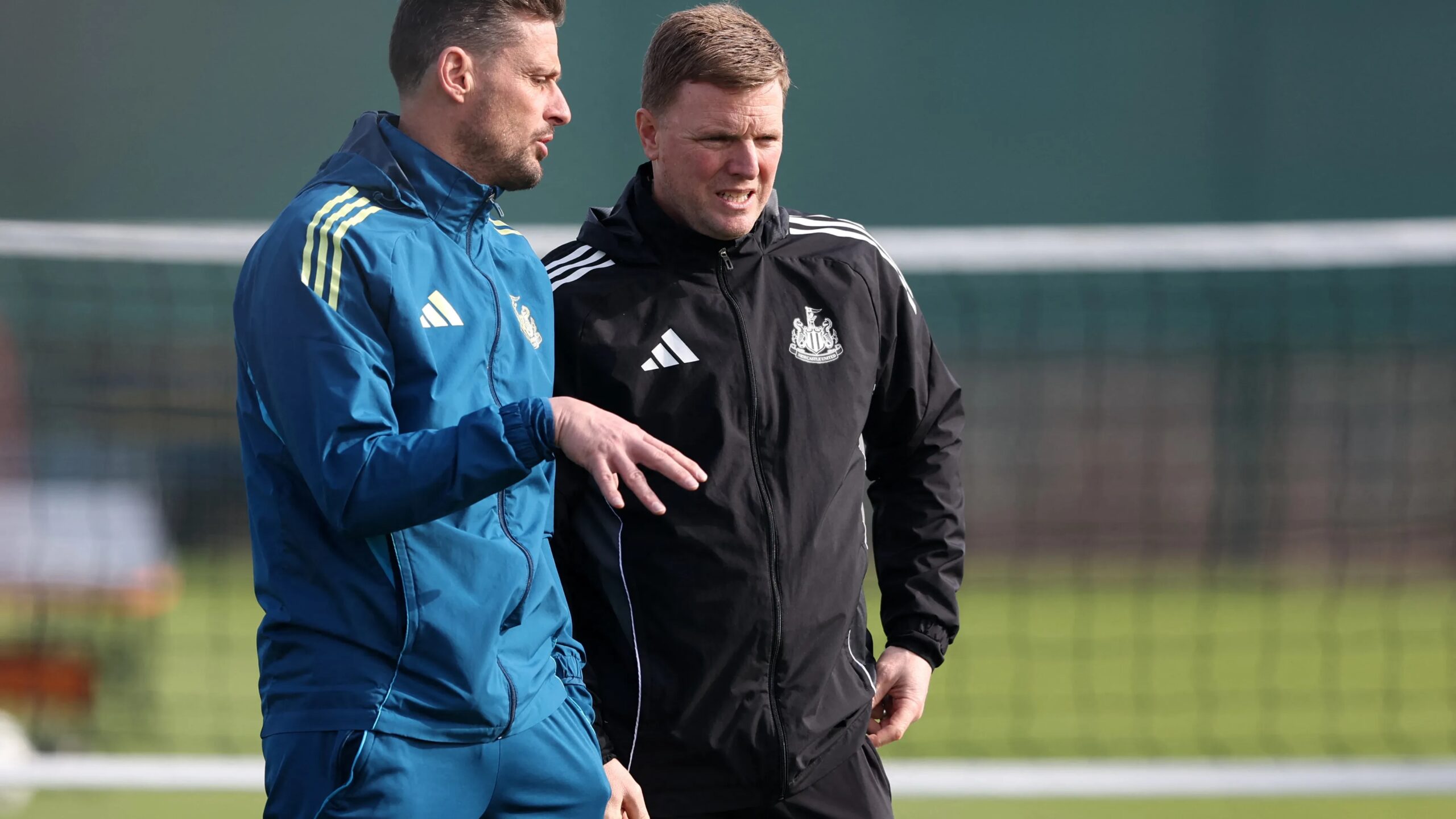 أغرب زواج كروي كيف أربك الكلب المسعور كبار البريميرليج وصنع إرثًا كبيرًا