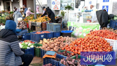 ارتفاع أسعار الخضر يسجل أرقامًا قياسية.. وخبراء يرفضون ربط الأزمة بـ"حرب إيران"