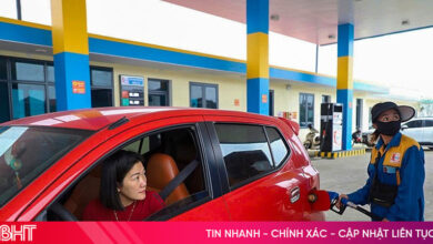 ارتفاع أسعار الوقود: كيف يمكننا التصدي لتداعياته وتجنب تأثير الدومينو؟