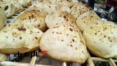 ارتفاع أسعار رغيف العيش المدعم يعكس تداعيات ارتفاع أسعار البنزين: قرار حكومي عاجل يعزز الإجراءات الاقتصادية