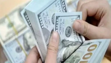 ارتفاع صاروخي بنسبة 32% في الإيرادات الضريبية وتحقيق فائض أولي بقيمة 383 مليار جنيه: دلالات قوة الاقتصاد المصري في مواجهة التحديات العالمية