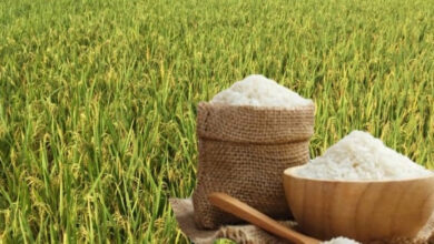 ارتفاع طفيف في أسعار الأرز المكسور العطري يثير اهتمام المستهلكين والأسواق